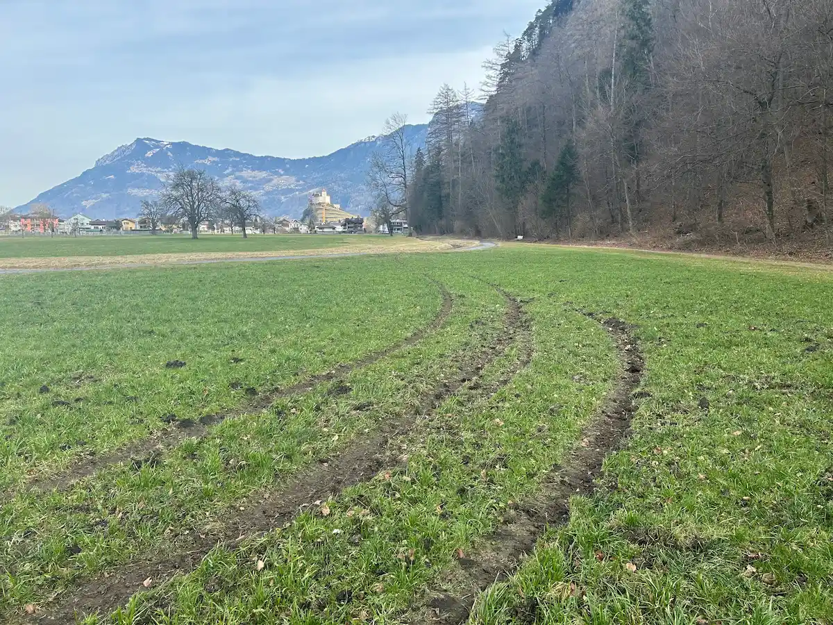 Balzers FL: Zeugenaufruf – Driftendes Fahrzeug verursacht Flurschäden auf Wiesen