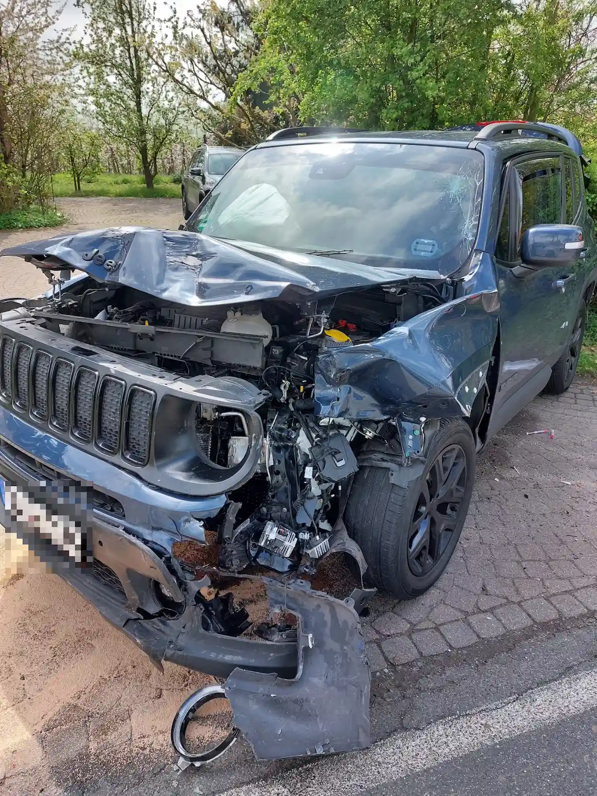 Zwei Schwerverletzte bei Frontalcrash im Alten Land (D)